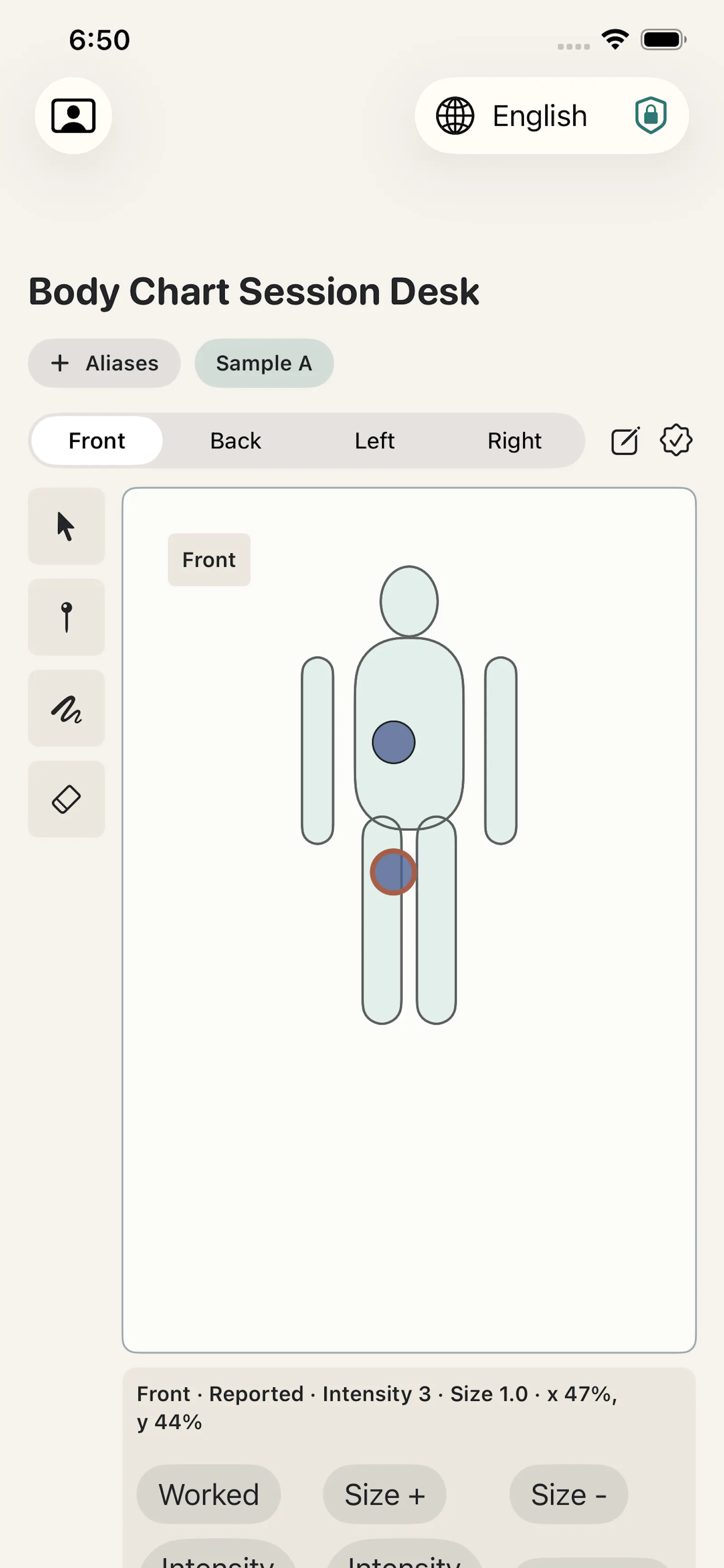 MassageDesk: Bodywork Notes screenshot 3