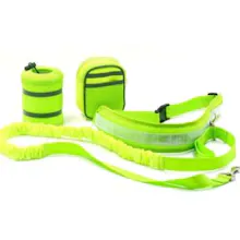 Adjustable Hands Free Dog Leash gallery image