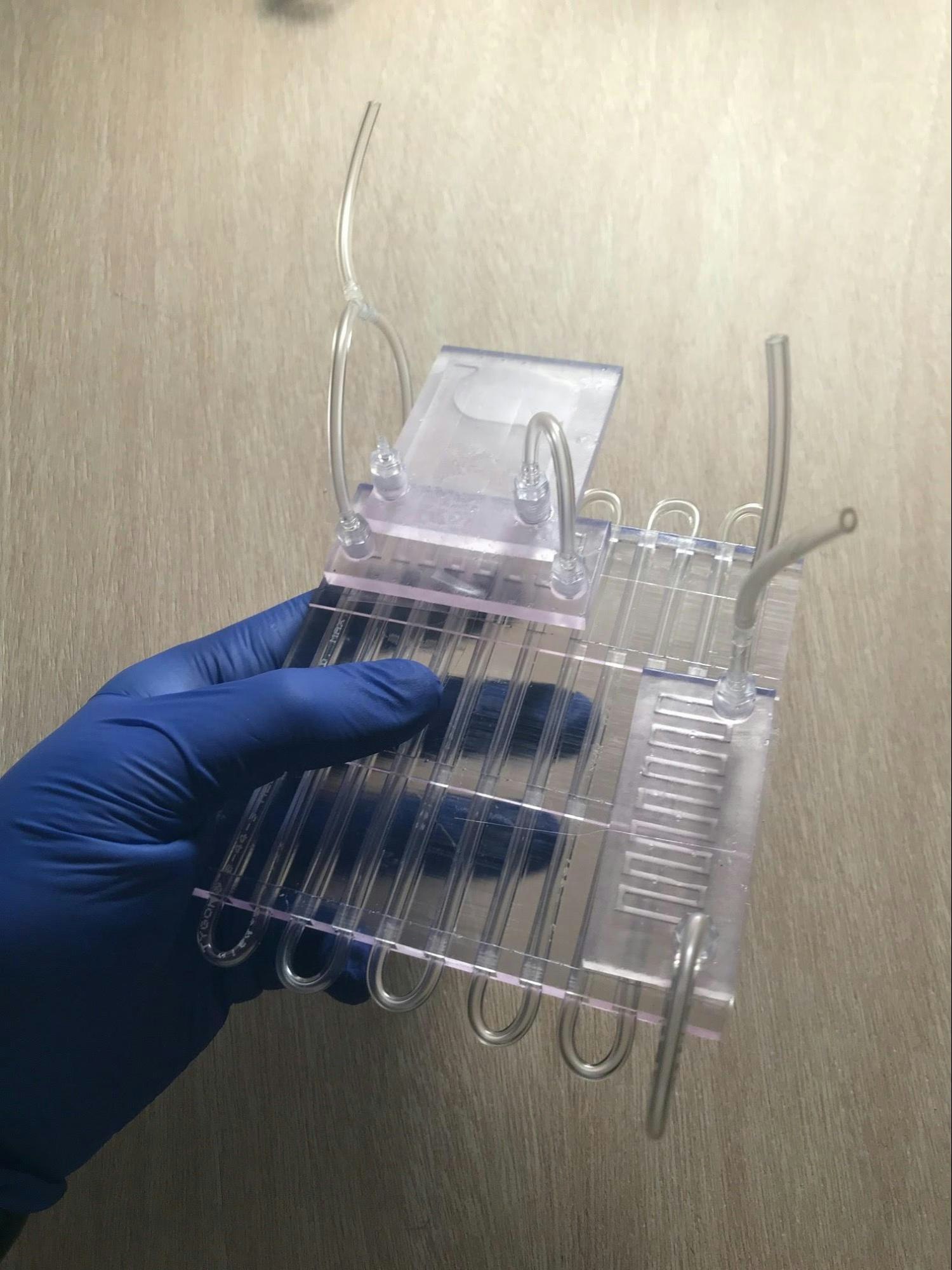 Eugris  gallery image