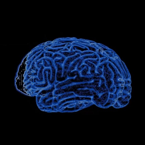 Brain2Qwerty v2