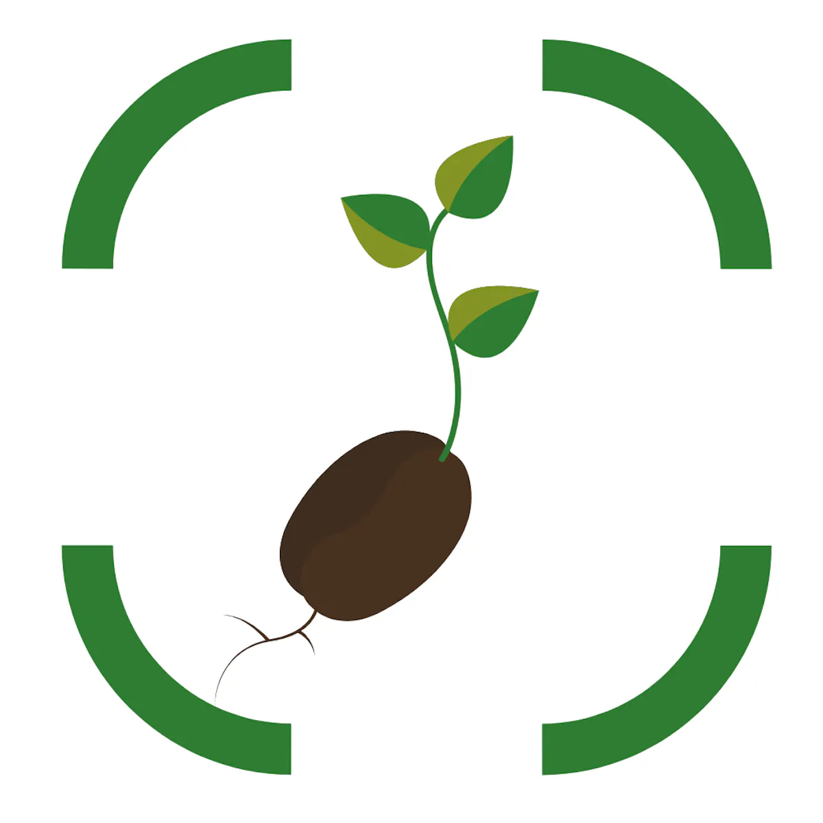 Seed Oil Detector