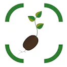 Seed Oil Detector