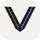 VehIQ: