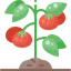 Gardener Planner