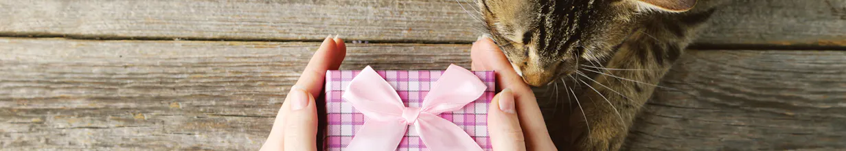 Cat Lady Box gallery image