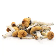 Order Magic Mushrooms Online gallery image