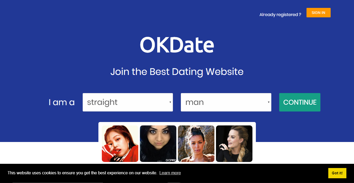 ProDatingScript gallery image