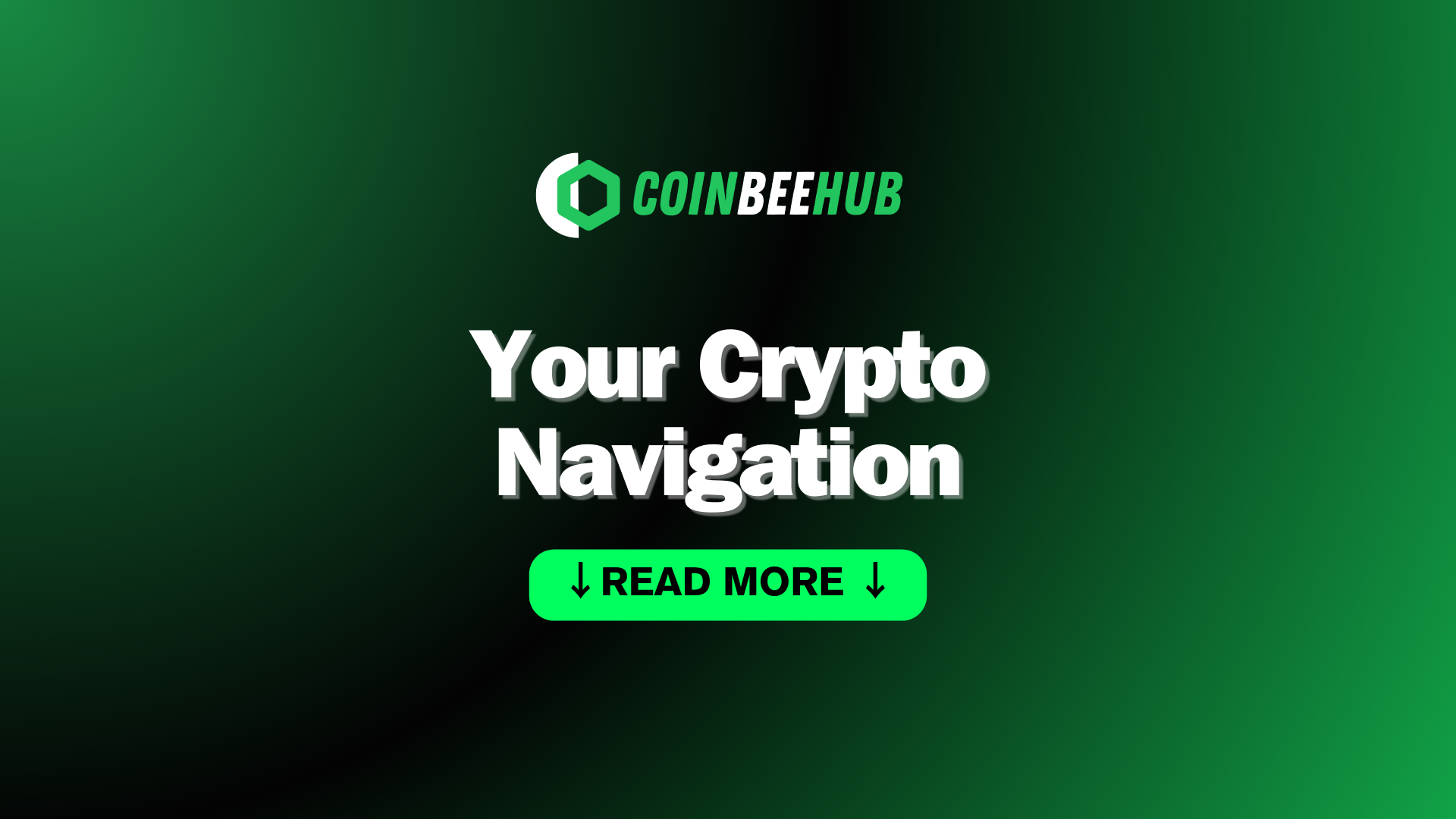 Coinbeehub media 3