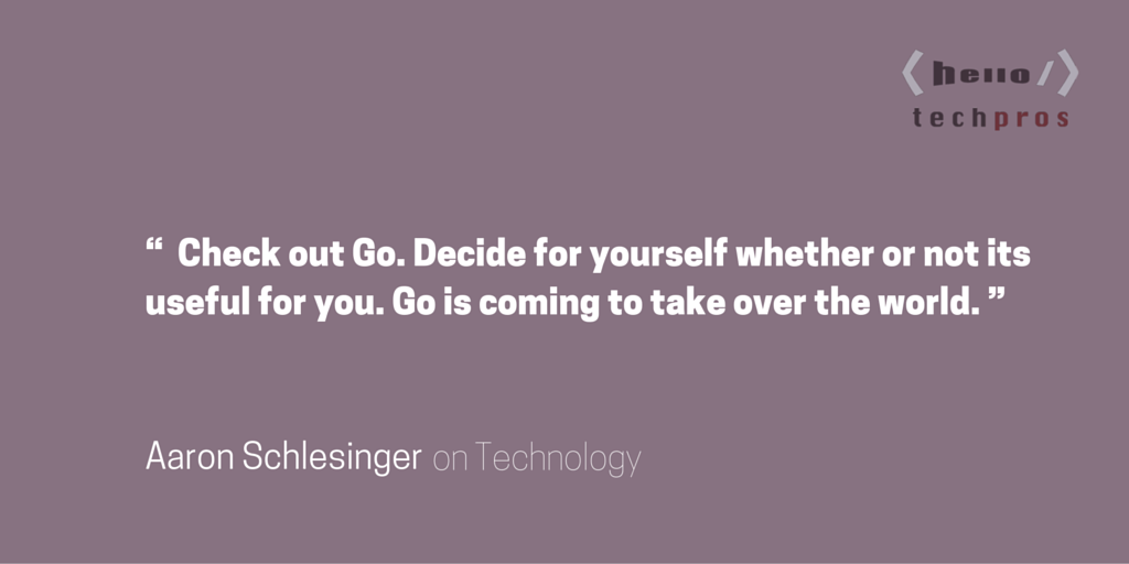 Hello Tech Pros: GoLang Will Make Your Plumbing Code Sexy