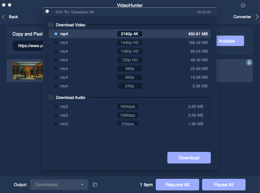 VideoHunter gallery image