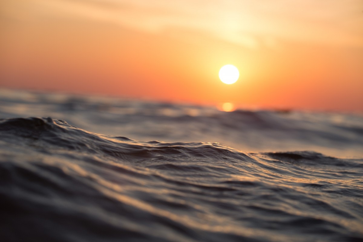 Free Images & Free stock photos gallery image
