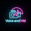 VoiceandVid