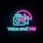 VoiceandVid