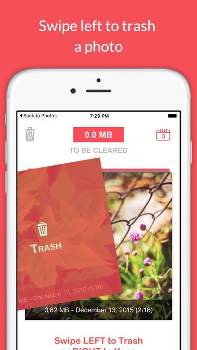Remove Master gallery image