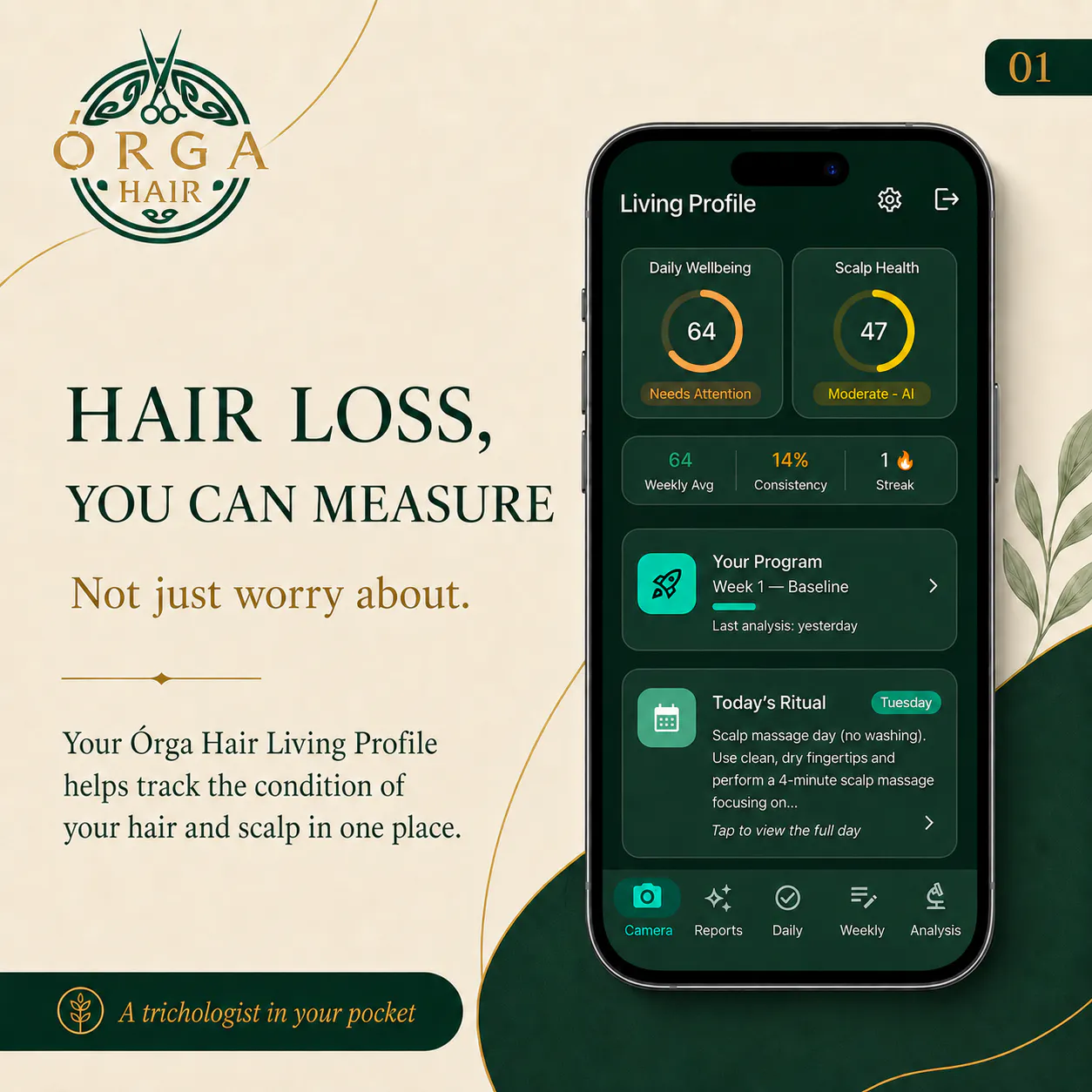 Orga Hair - Living Profile gallery image