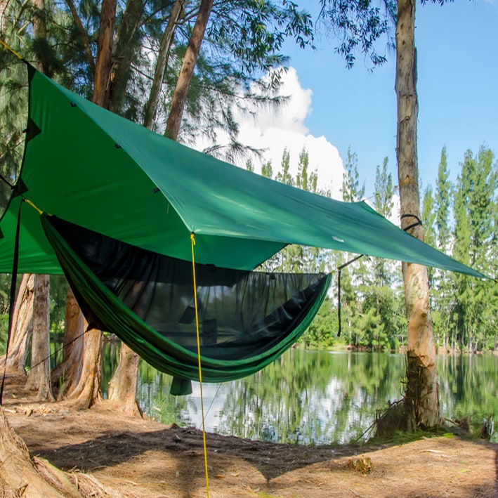 Jason Montgomery gallery image