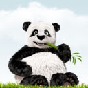 TinyPNG media 1
