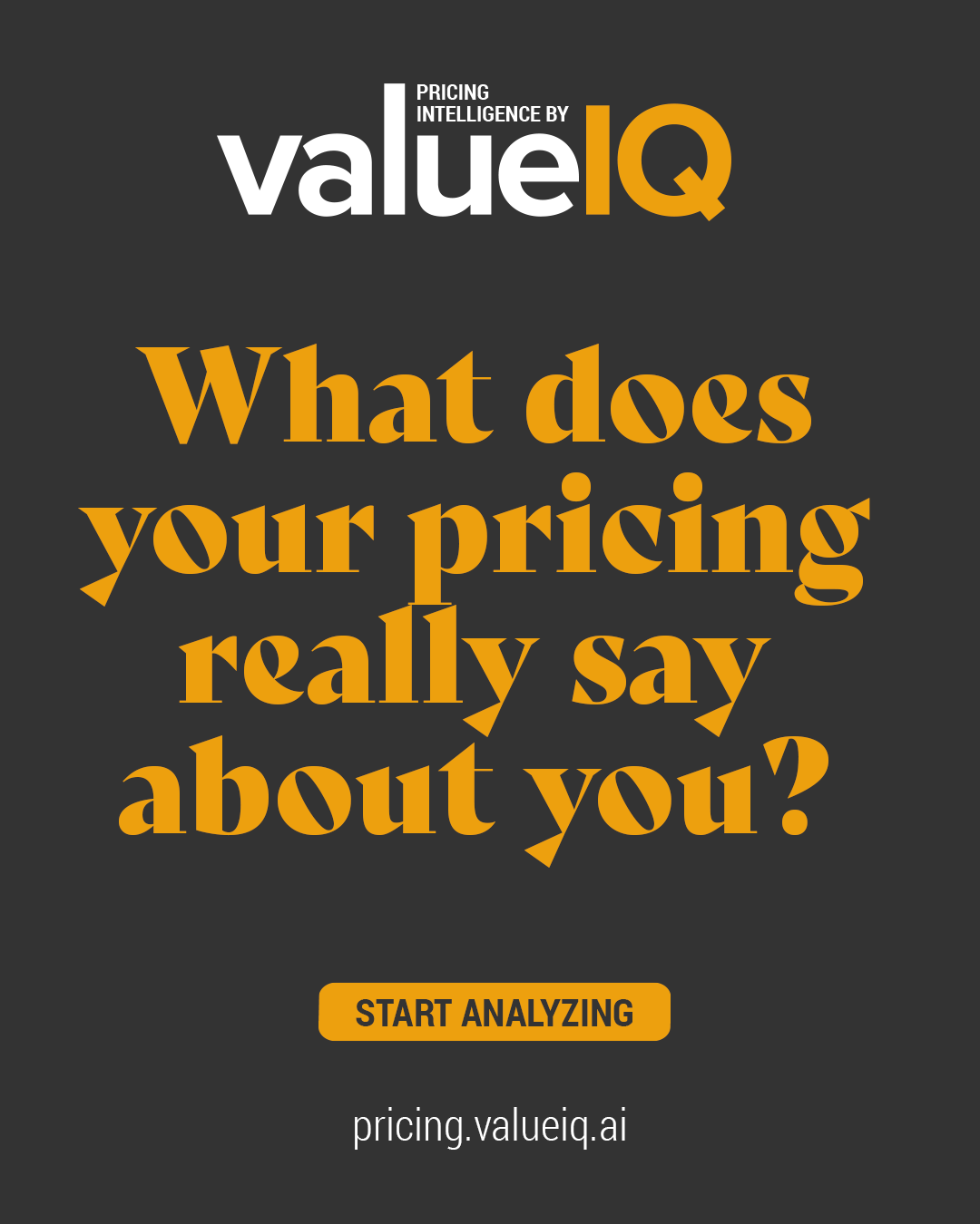 Pricing Intelligence by valueIQ - Screenshot 3 showing product features and functionality