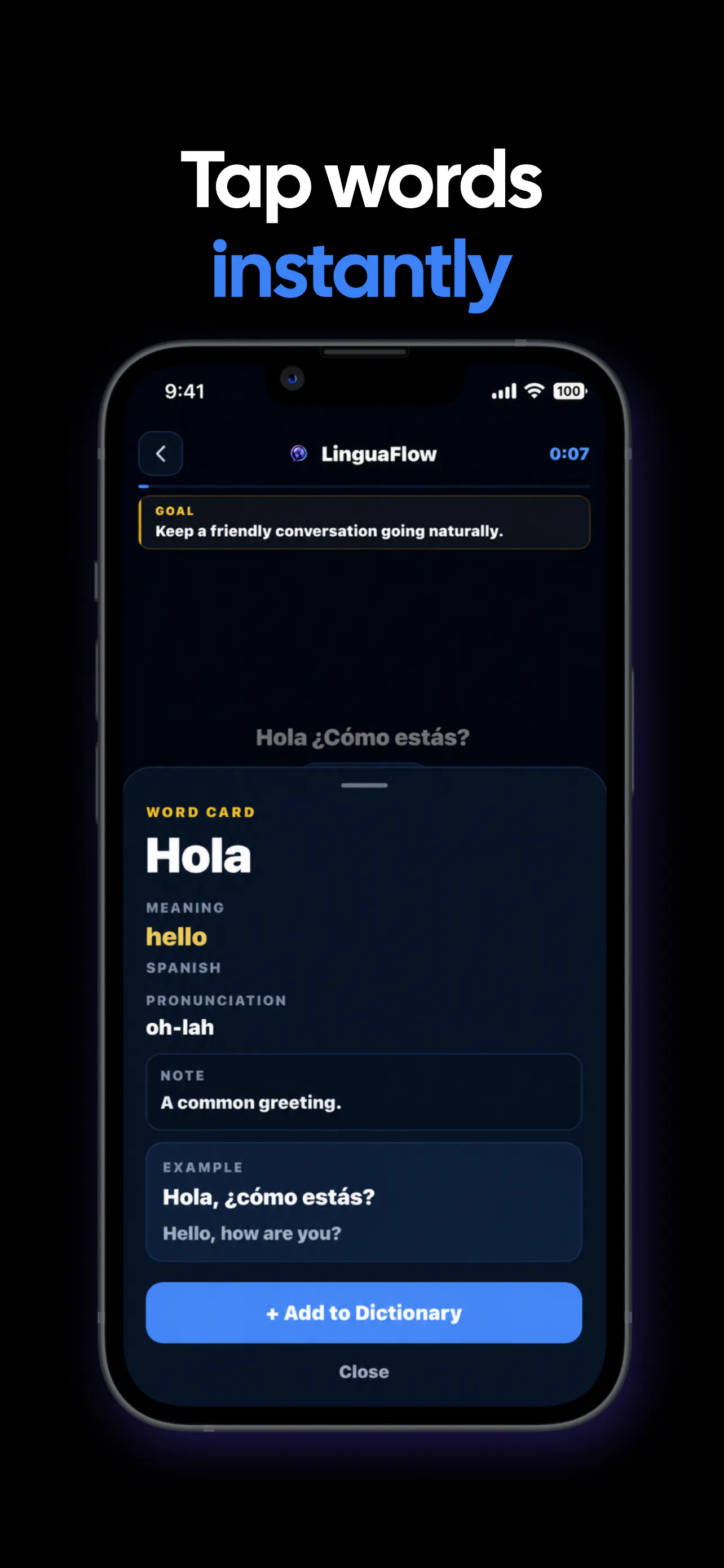 LinguaFlow gallery image