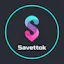 SaveTTOK - AI-Powered HD Downloader