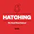 Hatching - #20: Smart Bedding Launch & Revenue Numbers