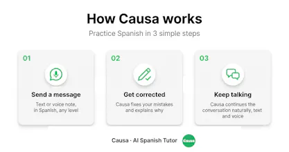 Causa gallery image