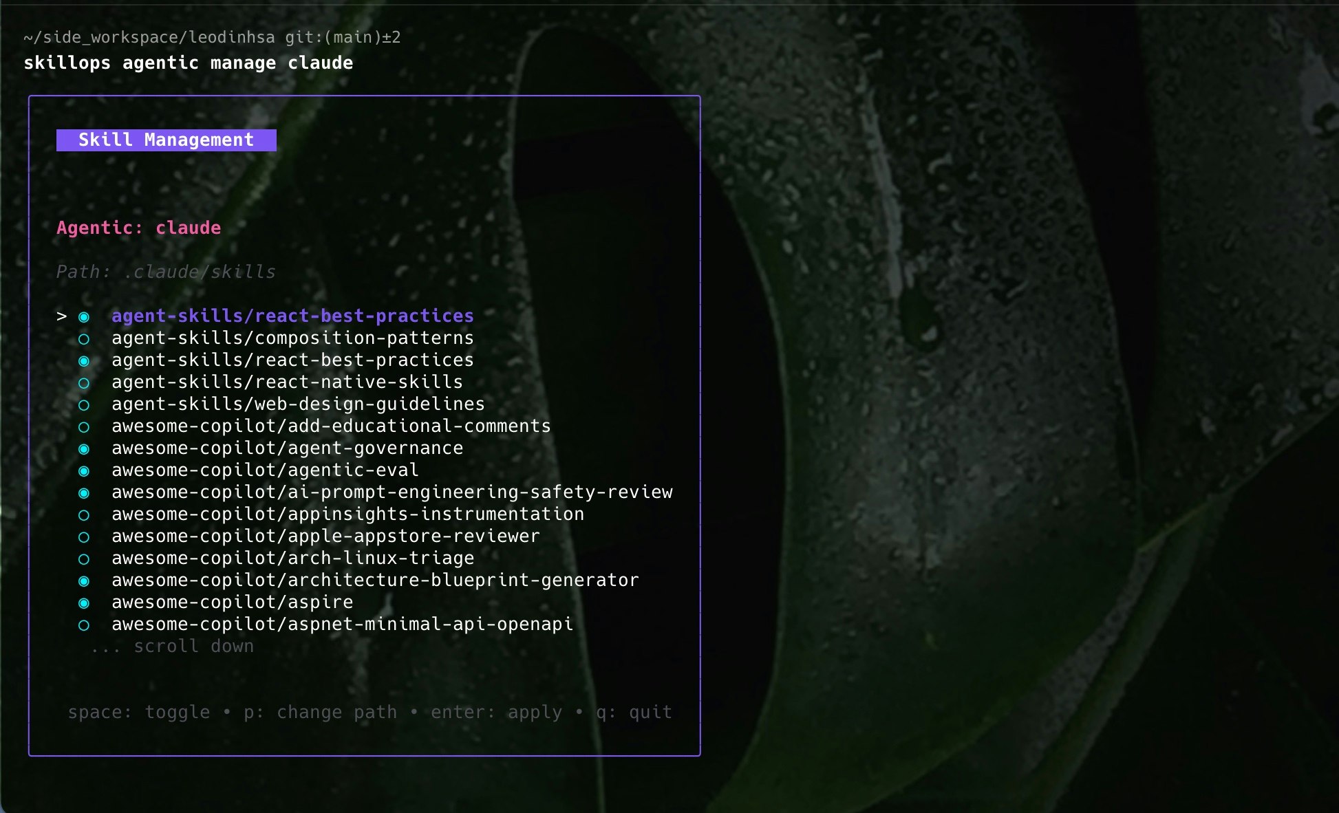 SkillOps - Screenshot 3 showing product features and functionality