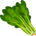 Kale.World
