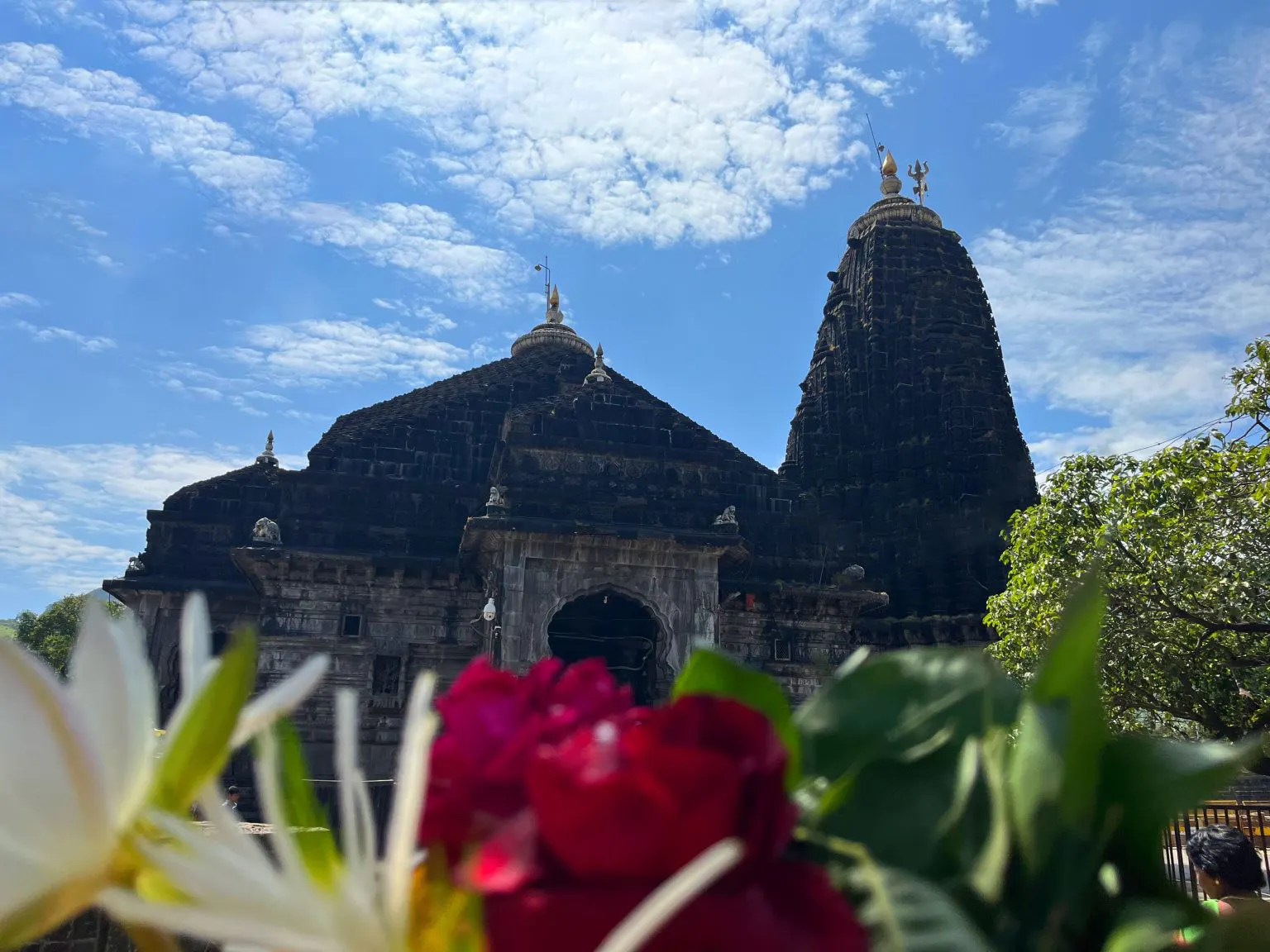Pitradosh Puja In Trimbakeshwar gallery image