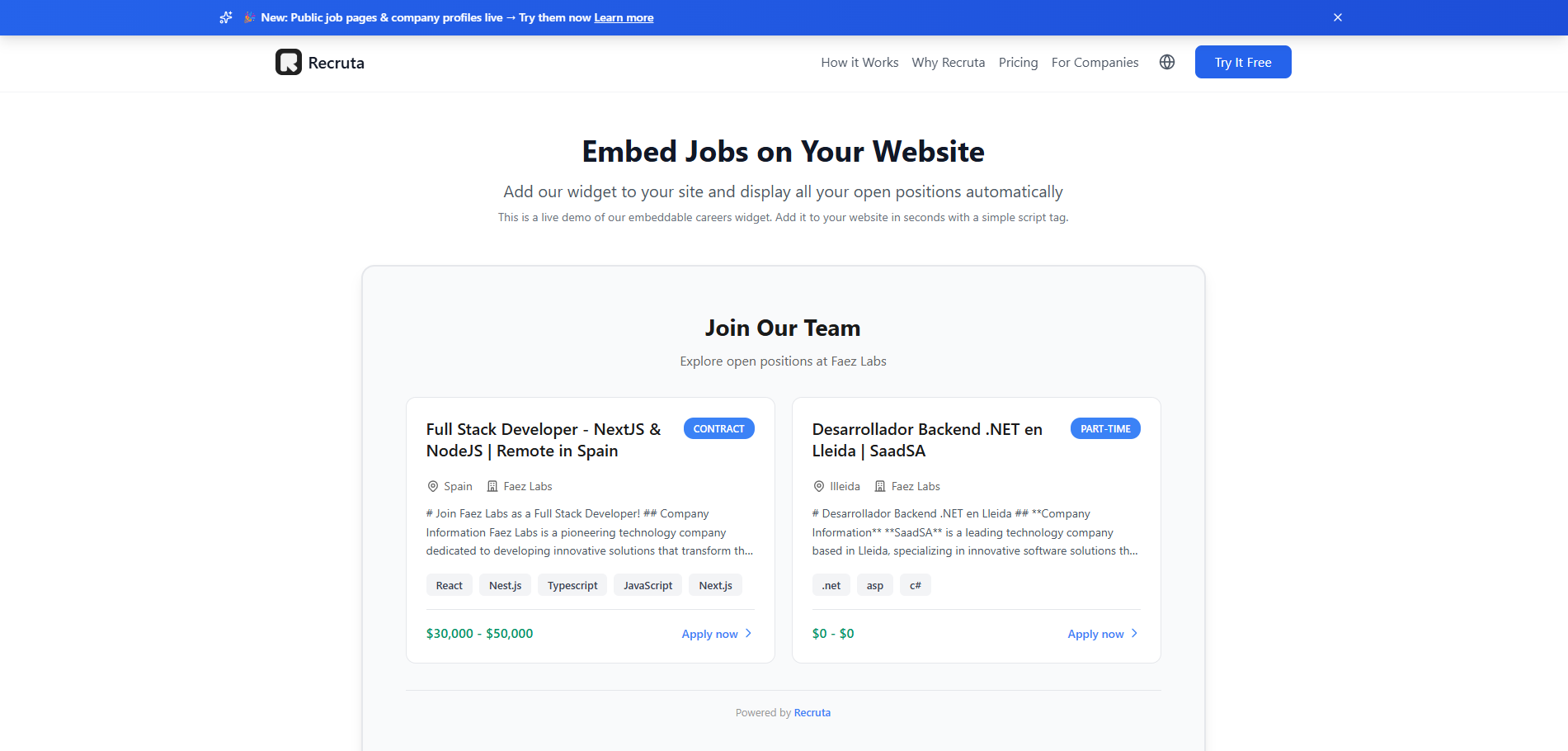 Recruta - Screenshot 2 preview