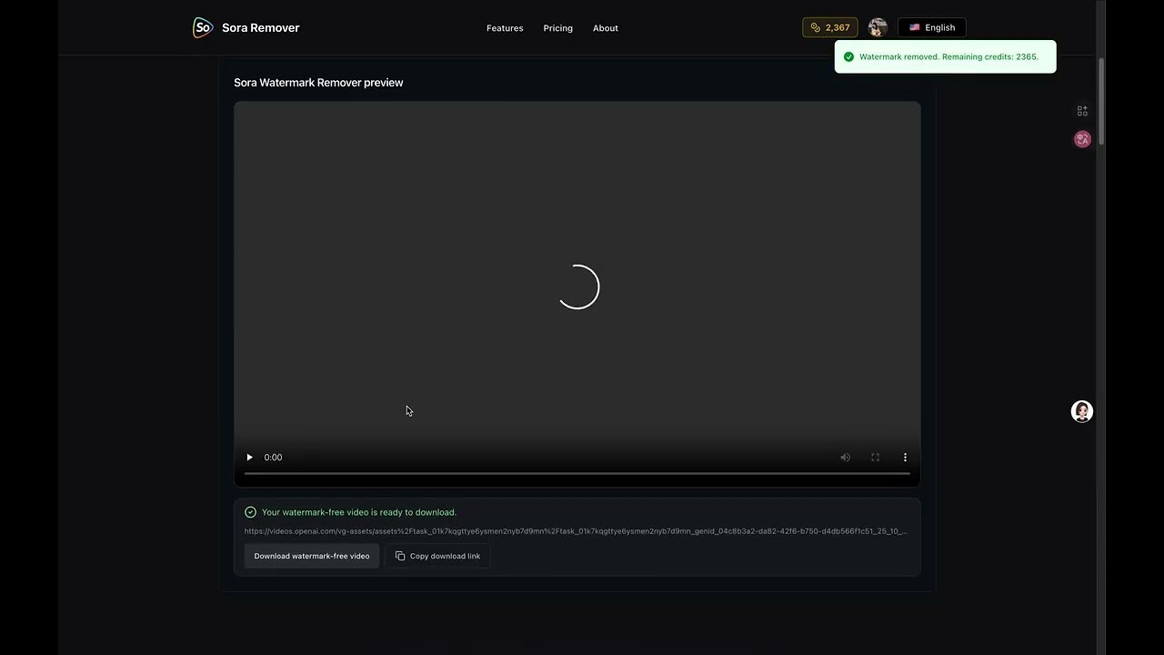 Sora Watermark Remover gallery image