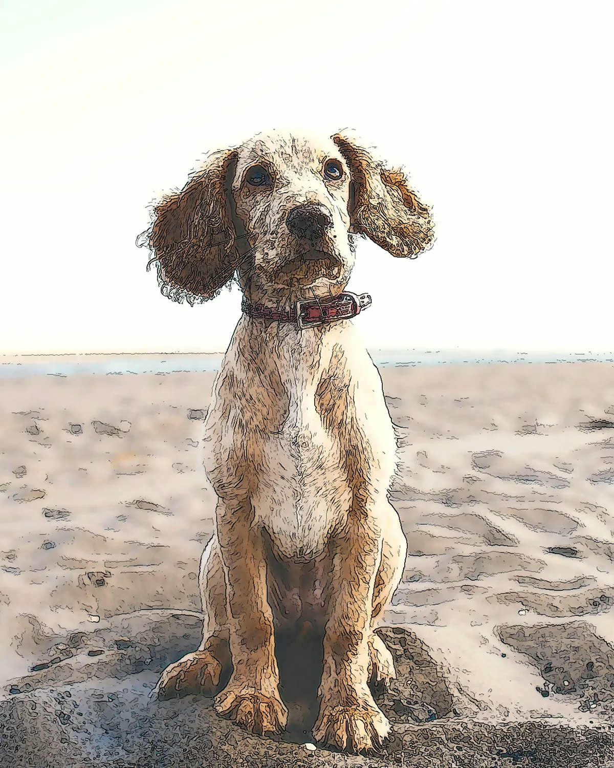 Tracelyx - Screenshot 4 showing product features and functionality