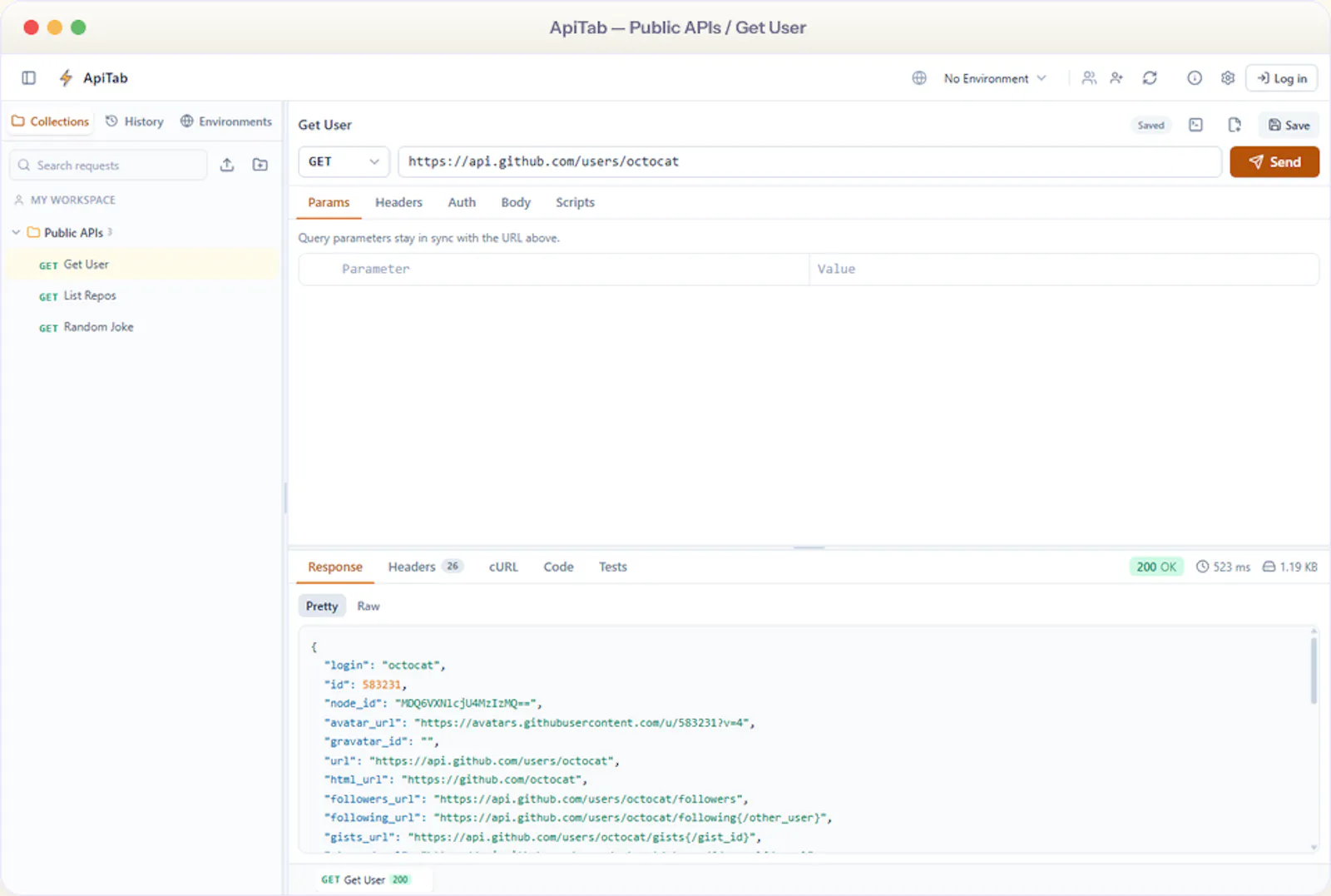 ApiTab — Desktop & Browser API Client screenshot 1