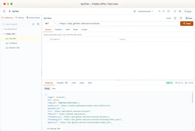 ApiTab — Desktop & Browser API Client screenshot 1