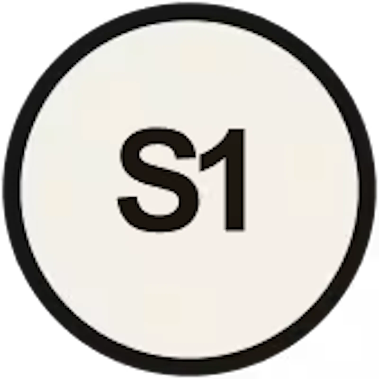 S-1 screenshot 1