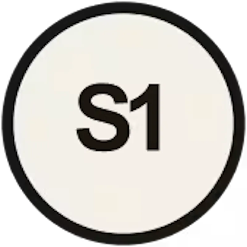 S-1 screenshot 1