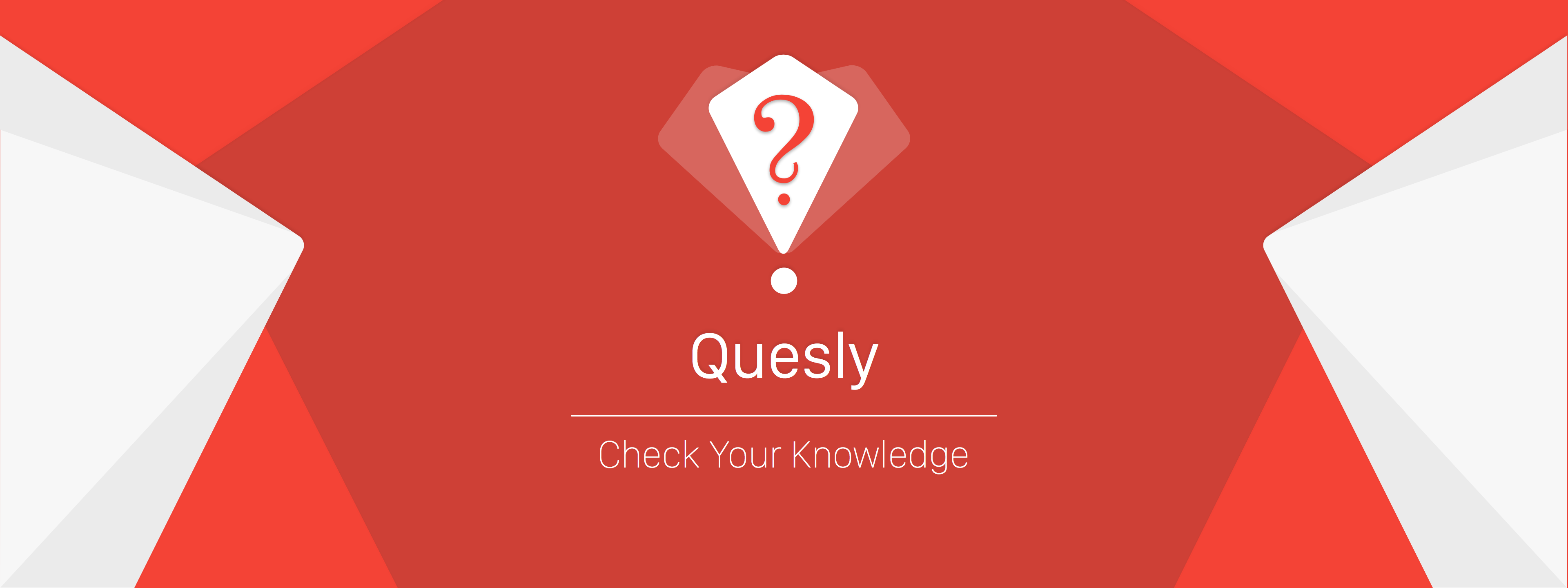 Quesly - Check Your Knowledge  gallery image