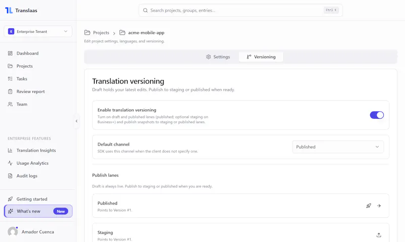 Translaas screenshot 6