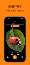 BugClip gallery image