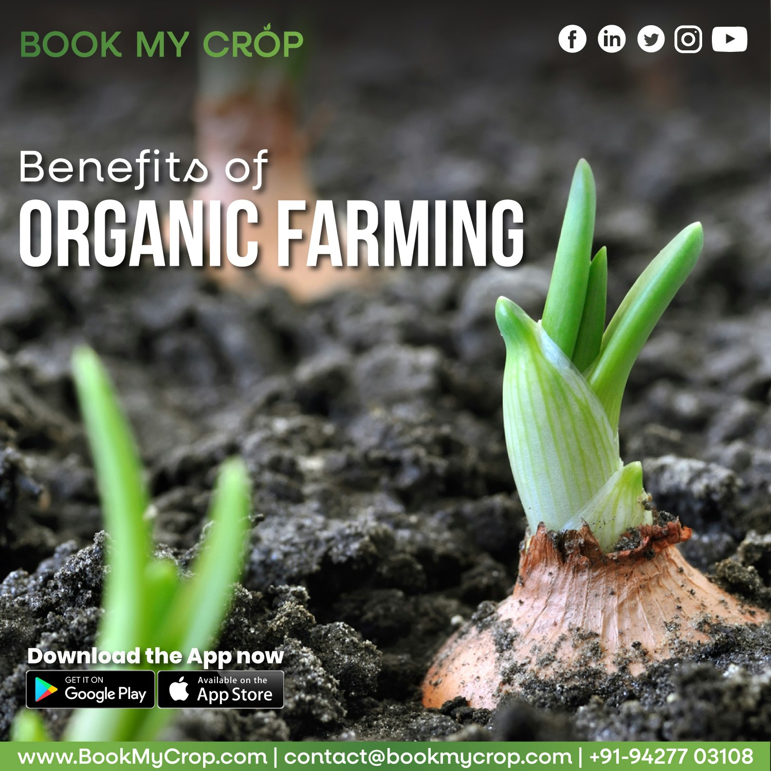 Online Agri Market in India gallery image