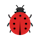 Bugdrop