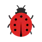 Bugdrop