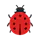 Bugdrop