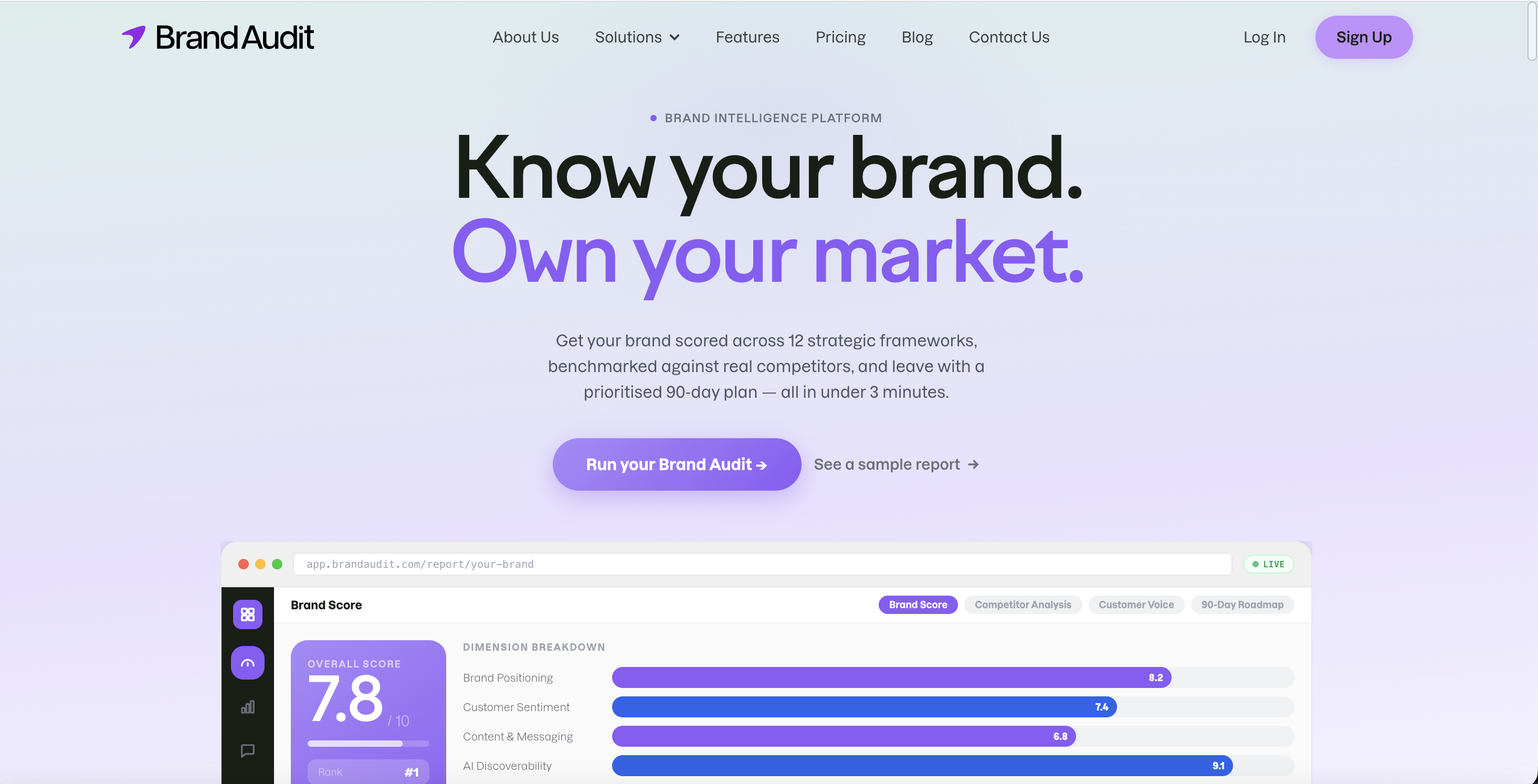 Brand Audit gallery image