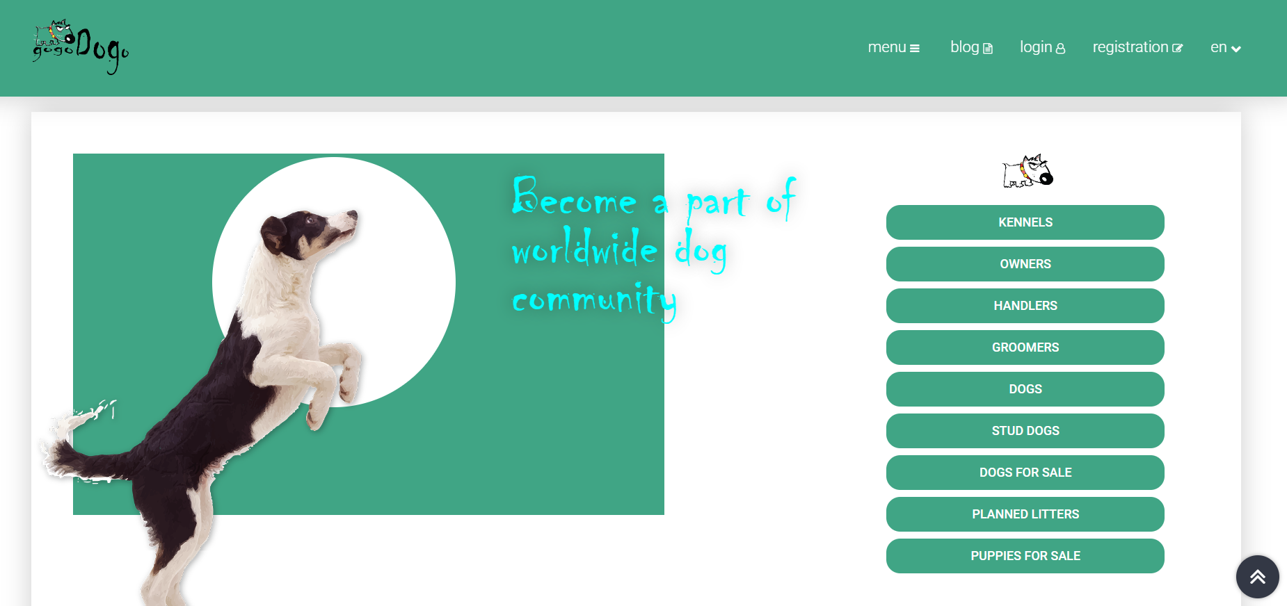 GogoDogo gallery image