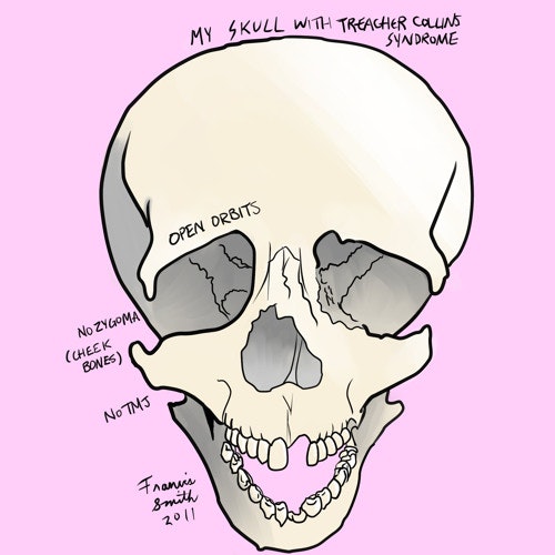 The Bone Lab - About Face