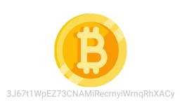 Fake Bitcoin Wallet media 3