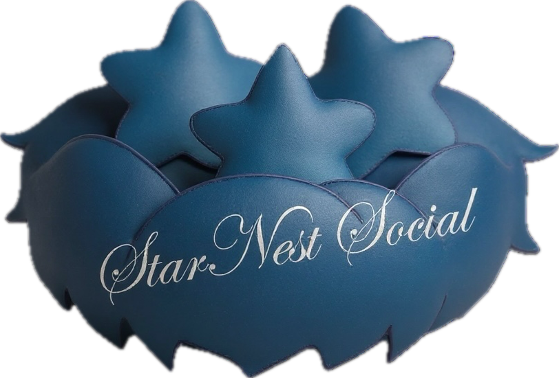 StarNestSocial gallery image
