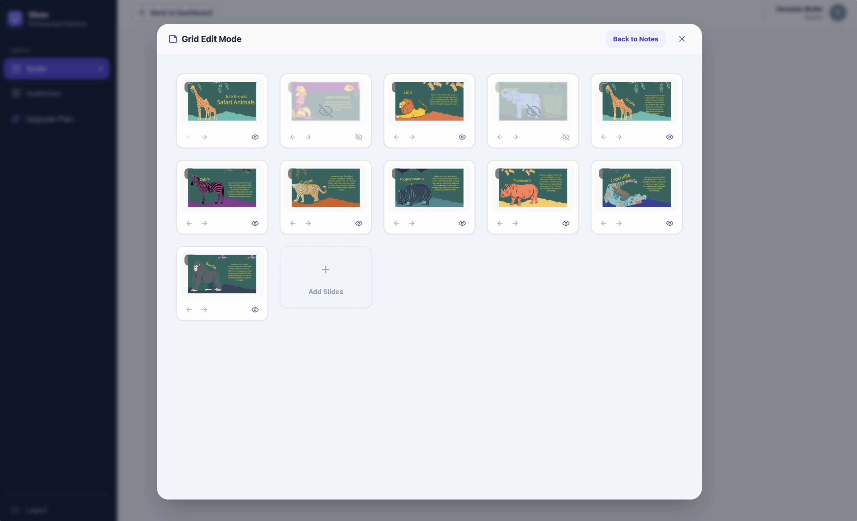 Slizex gallery image