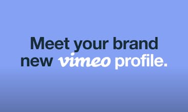 Vimeo gallery image